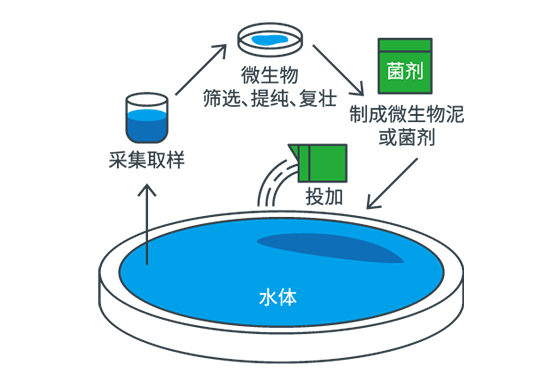 微生物干擾技術(shù)Bioblue